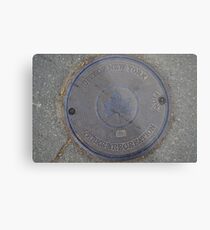 Tin Lid Metal Print