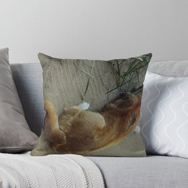 Item preview, Australian Dingo Fraser Island Qld. designed and sold by sandysartstudio.