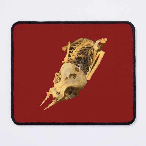 Item preview, Baby Starling Skelly designed and sold by derbyisdead.