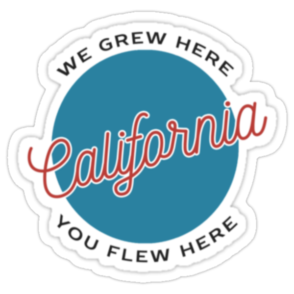 brandy melville california stickers by cheyannekailey redbubble