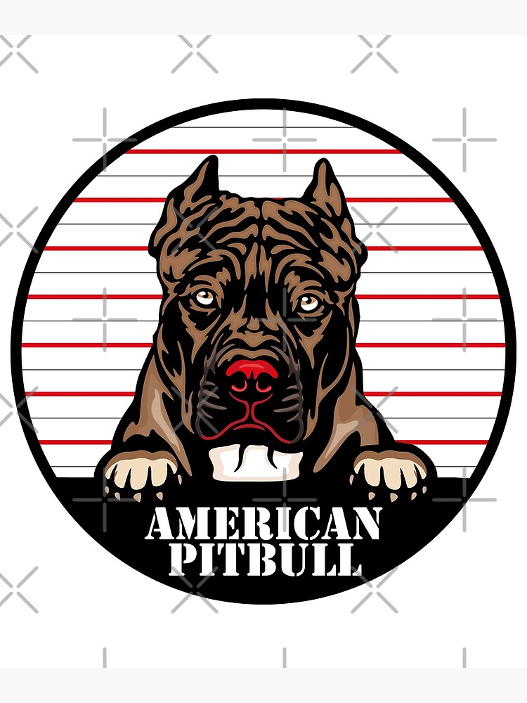 Who Gives a Pit Funny Pitbull Shirt Show Me Your Pitties -  in 2023