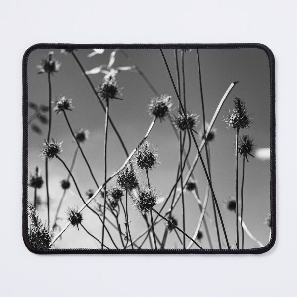 Item preview, Husks designed and sold by PhotosByFelix.