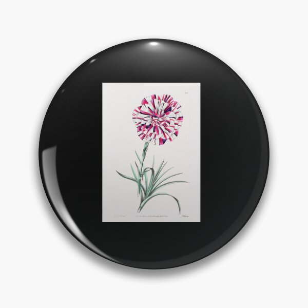 Item preview, Pink Variegated Carnation designed and sold by saosoardy.
