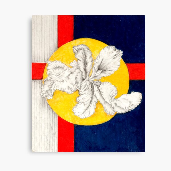 Shaded Iris, Mixed Media Canvas Print