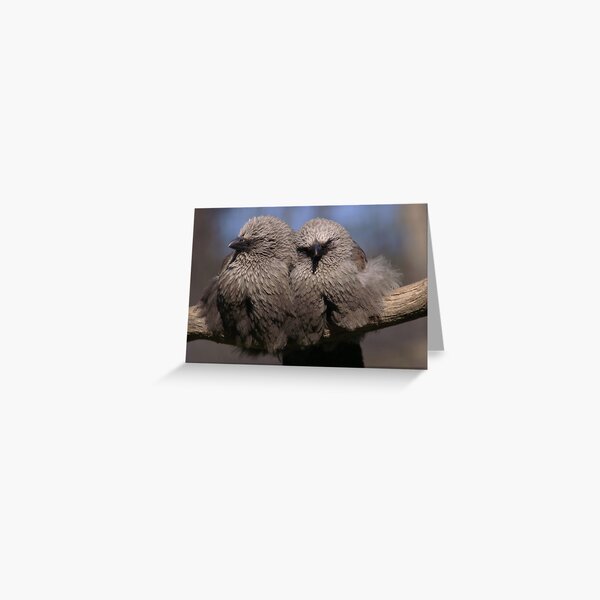 Item preview, togetherness ... designed and sold by rogersmith.