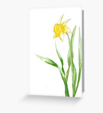 Daffy 2 Greeting Card