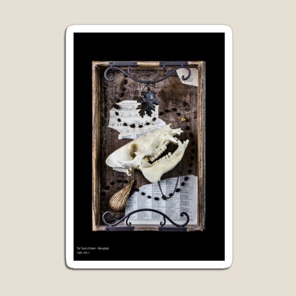 Tarot of Bones - Hierophant Magnet