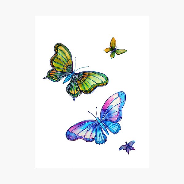Photographic Print