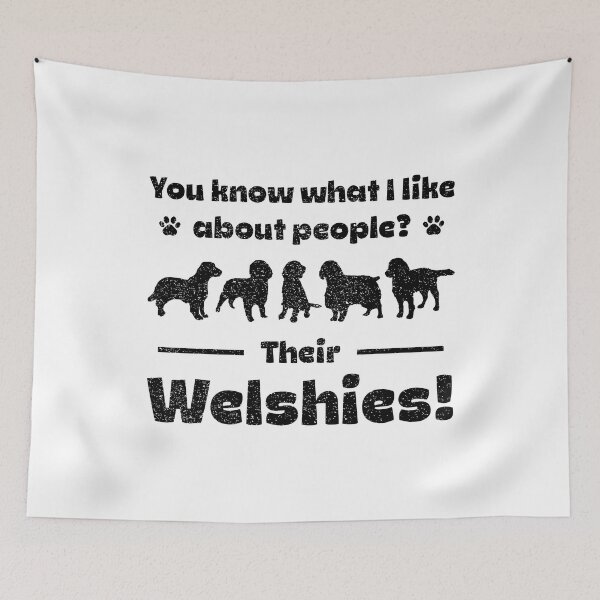 Item preview, Professional Welsh Springer Spaniel Groomer designed and sold by More Cute Dogs.