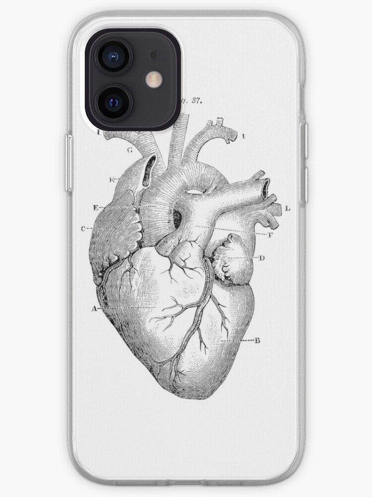 Anatomisches Herz Iphone Hulle Cover Von Pharisaicaljesu Redbubble