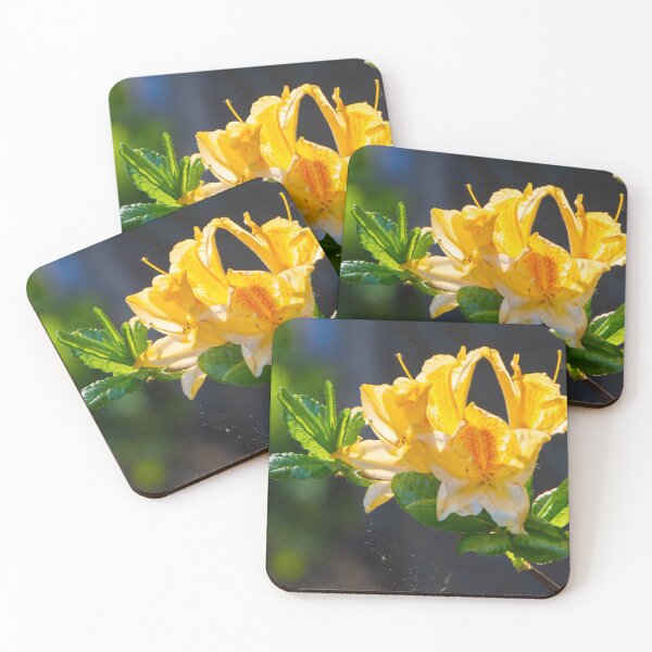 Item preview, Springtime beauty designed and sold by jchanders.
