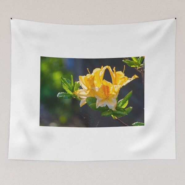 Item preview, Springtime beauty designed and sold by jchanders.