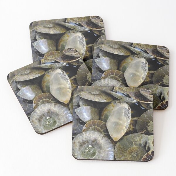 Item preview, Ammonites Forever (pattern) designed and sold by Yampimon.