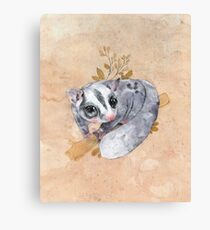 Sugar Glider! Canvas Print