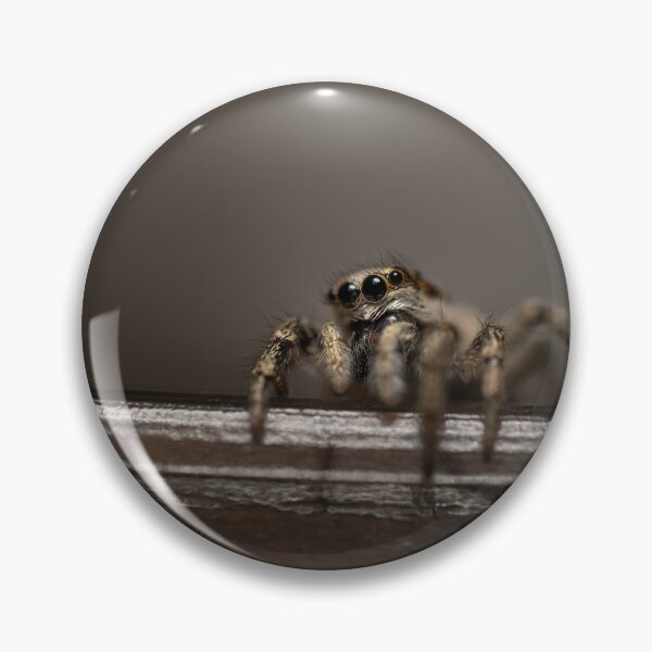 Item preview, Zebra spider designed and sold by Ewa Misztal.