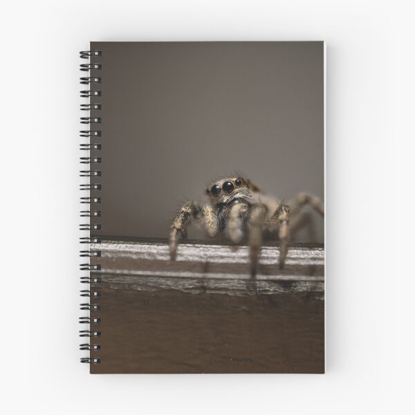 Item preview, Zebra spider designed and sold by Ewa Misztal.