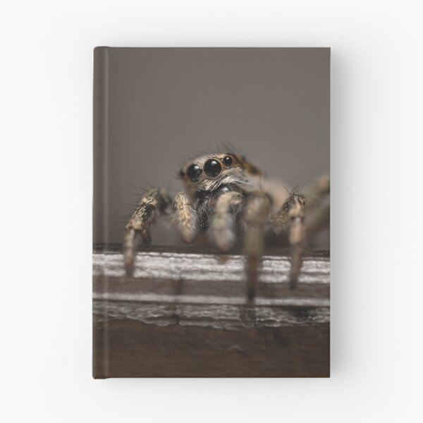 Item preview, Zebra spider designed and sold by Ewa Misztal.
