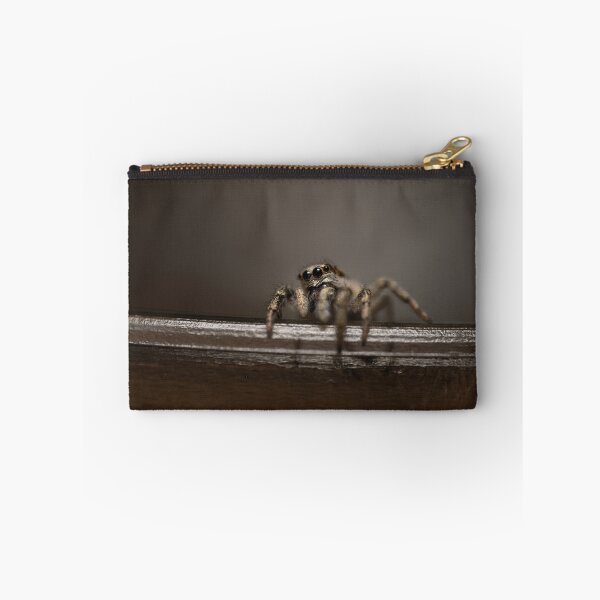 Item preview, Zebra spider designed and sold by Ewa Misztal.