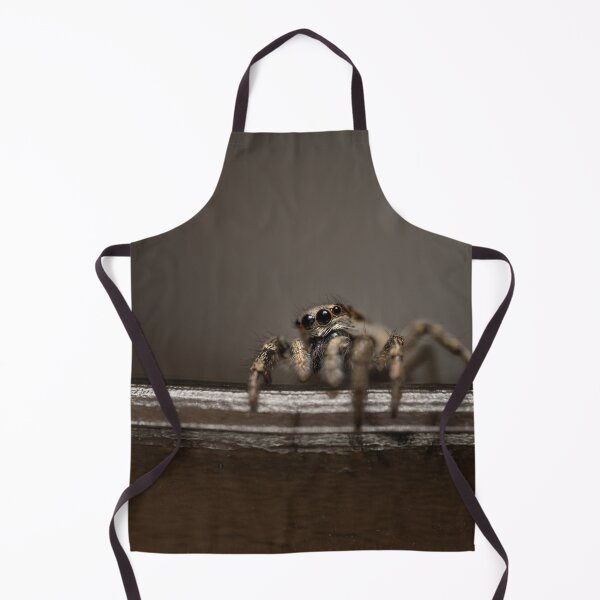 Item preview, Zebra spider designed and sold by Ewa Misztal.