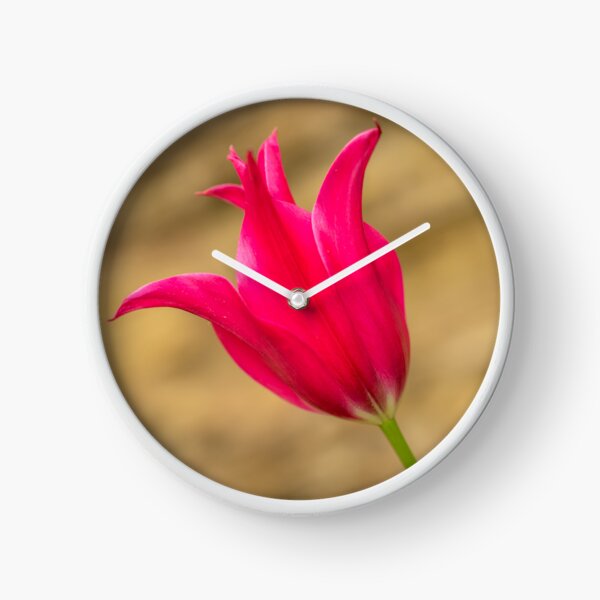 Red tulip Clock