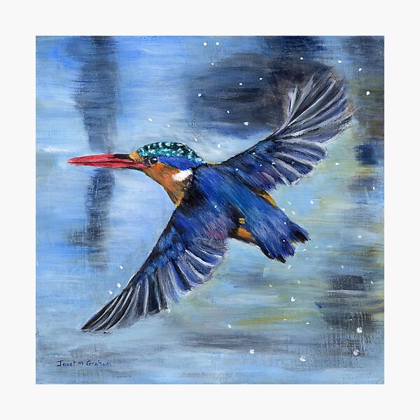 Item preview, Malachite Kingfisher in flight designed and sold by JanetMGraham.
