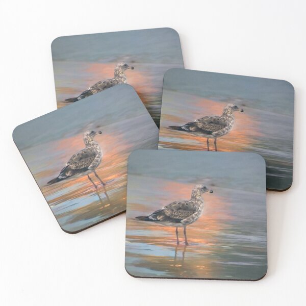 Item preview, Young seagull at dawn designed and sold by Art in Nature.