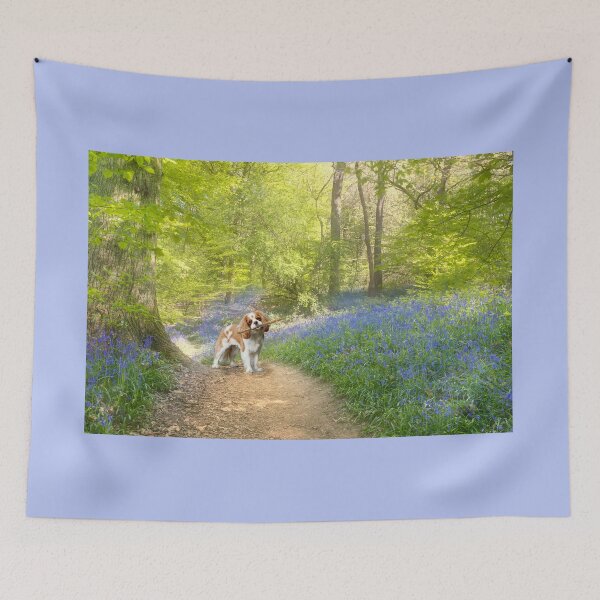 Item preview, Cavalier King Charles Spaniel In A Bluebell Wood  designed and sold by Alisonchambers2.