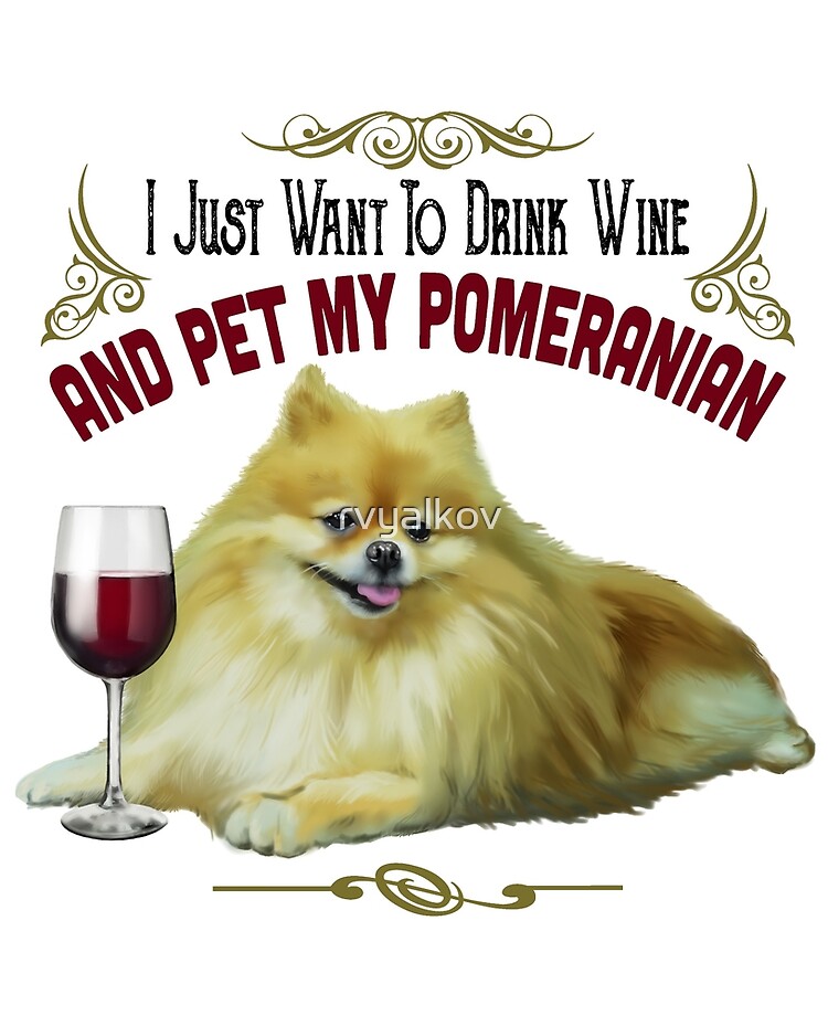funny pomeranian pictures