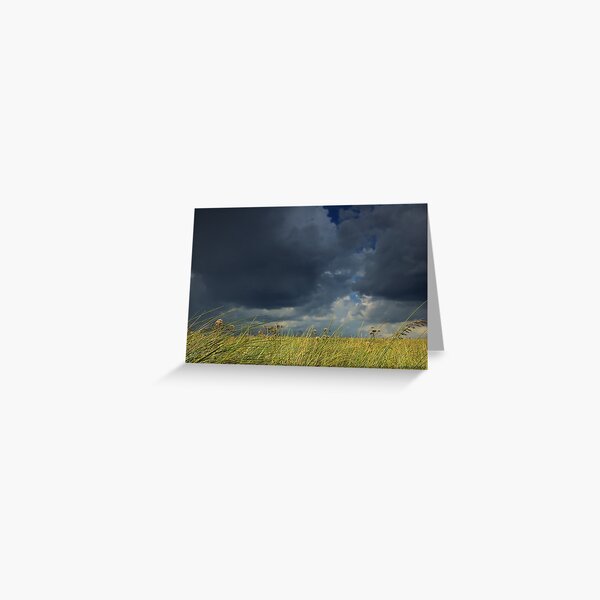 Glimpses of Summer Greeting Card