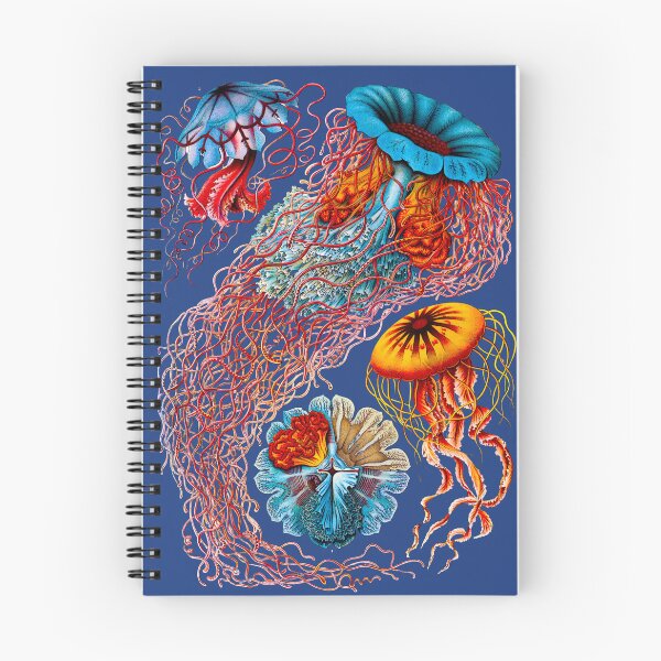 Item preview, Blue: Haeckel Discomedusae designed and sold by Go Logo Designs.