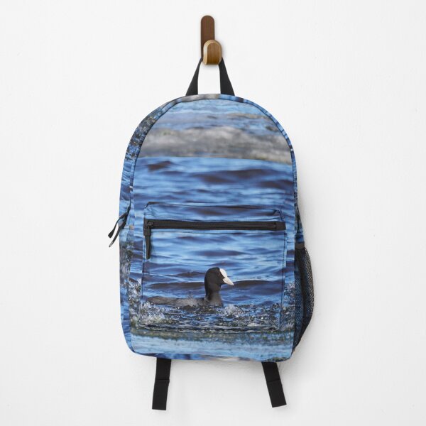 Item preview, Cooler coot. Eurasian coot designed and sold by Jouko Lehto Photography.
