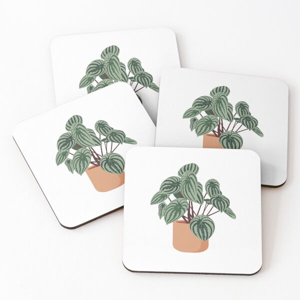 Item preview, Watermelon Peperomia Potted Plant designed and sold by zykydesigns.