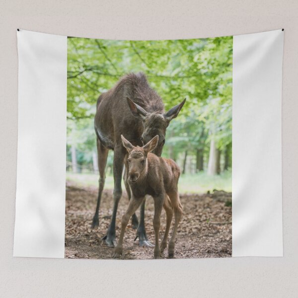 Item preview, Mama moose with calf designed and sold by Ingo Gerlach.