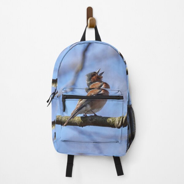 Item preview, Sing for the spring, Common chaffinch designed and sold by Jouko Lehto Photography.