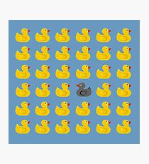 RUBBER DUCK Photographic Print