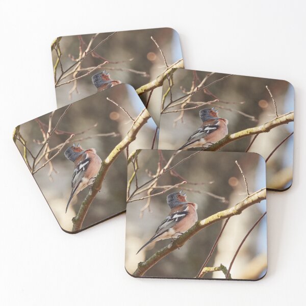 Item preview, Sing for the spring II, Common chaffinch designed and sold by Jouko Lehto Photography.
