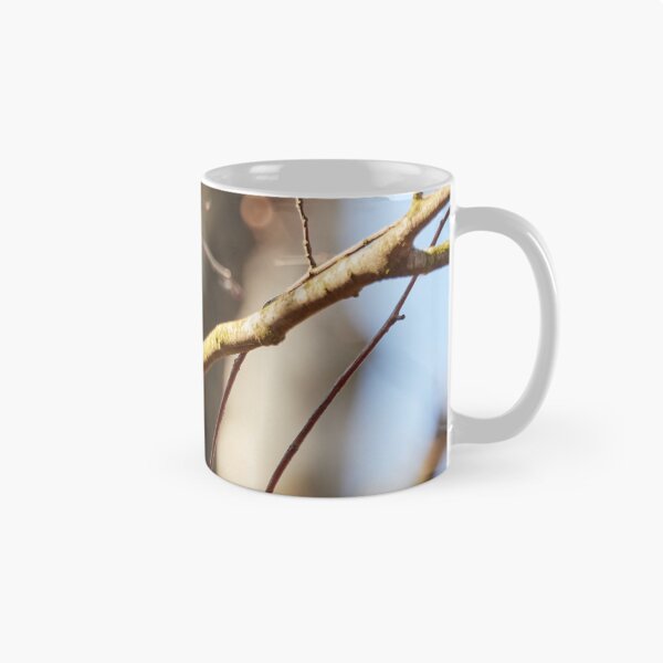 Item preview, Sing for the spring II, Common chaffinch designed and sold by Jouko Lehto Photography.