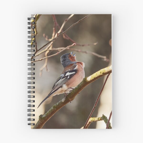 Item preview, Sing for the spring II, Common chaffinch designed and sold by Jouko Lehto Photography.