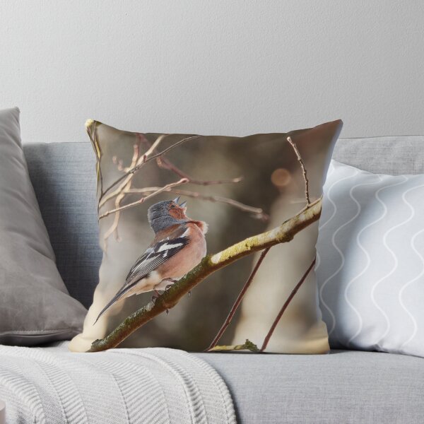 Item preview, Sing for the spring II, Common chaffinch designed and sold by Jouko Lehto Photography.