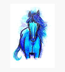 Free Spirit - Horse Photographic Print
