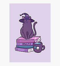 Feline Familiar Photographic Print