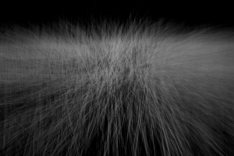 "White Sticks" by brilightning Redbubble