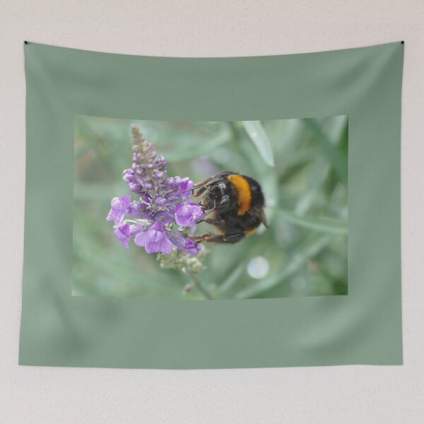 Item preview, Hello Flower!  designed and sold by IvaW.