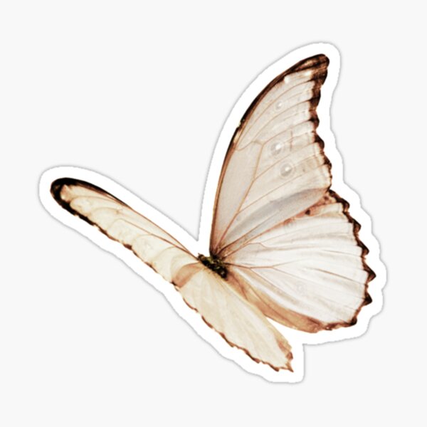 "white butterfly" Sticker for Sale by rkikuojohnson Redbubble