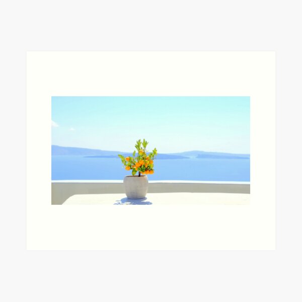Summer fruits Art Print