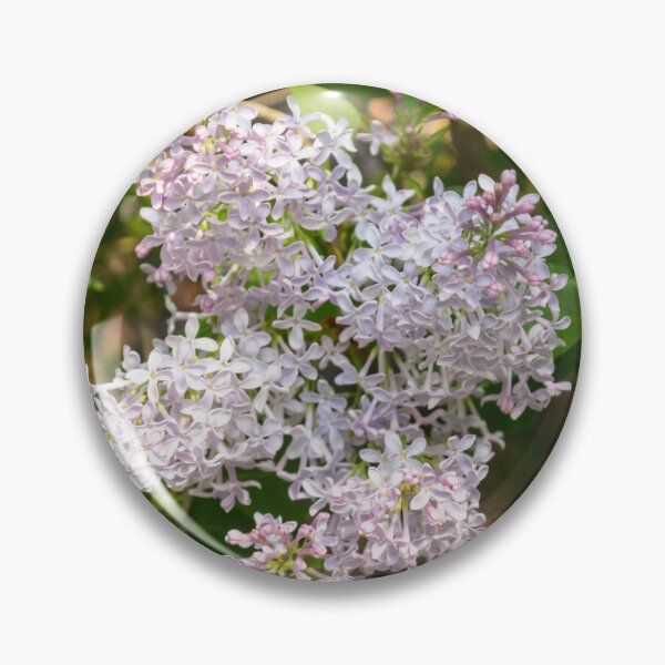Item preview, Springtime Aromatherapy - Sweet Smelling Lilac Blooms and Sunshine designed and sold by Georgia Mizuleva.