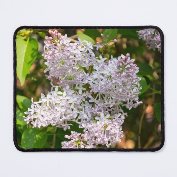 Item preview, Springtime Aromatherapy - Sweet Smelling Lilac Blooms and Sunshine designed and sold by Georgia Mizuleva.