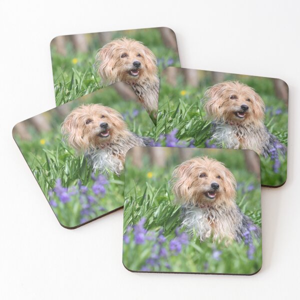 Item preview, Dog in bluebells designed and sold by GreyFeatherPhot.