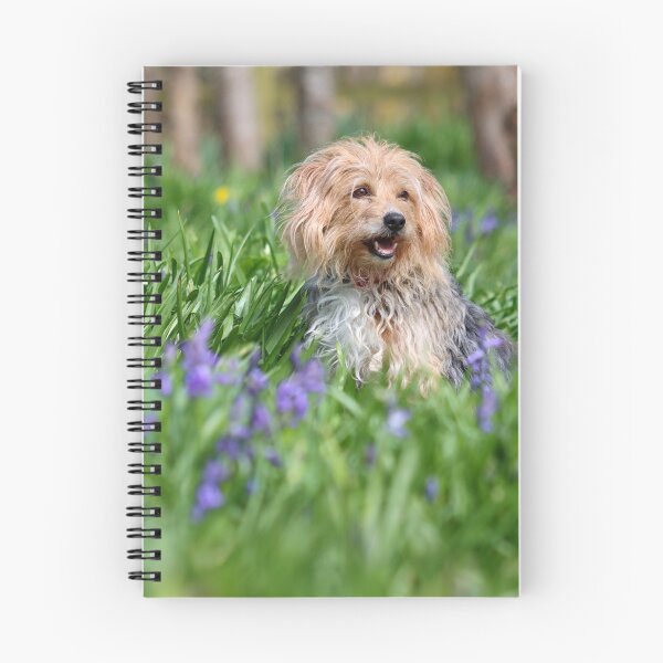 Item preview, Dog in bluebells designed and sold by GreyFeatherPhot.