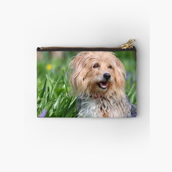 Item preview, Dog in bluebells designed and sold by GreyFeatherPhot.